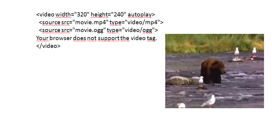 Código para incrustar un video con html5 con autoplay